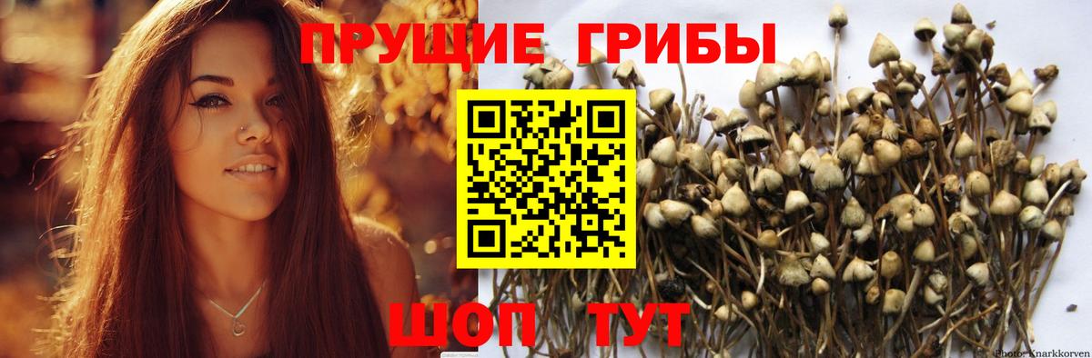 Псилоцибиновые грибы мухоморы  Урай 